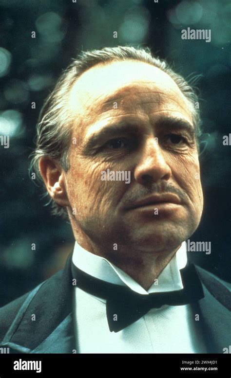 The Godfather The Godfather Marlon Brando As Don Vito