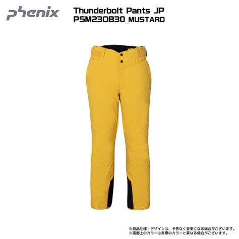 2023 24 Phenix（フェニックス）thunderbolt Pants Jp（無地） Psm23ob30【スキーパンツ数量限定