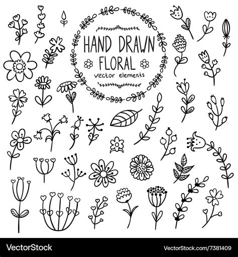 Hand Drawn Floral Elements For Your Design Vector Image