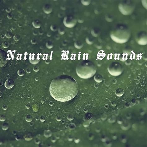 Natural Rain Sounds By Nature Sounds Thunderstorm Sleep And Nature Sound