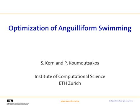 (PDF) Optimization of anguilliform swimming