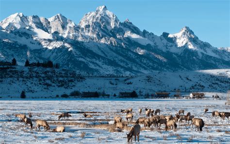 Grand Teton National Park Winter Activities - PhotoJeepers