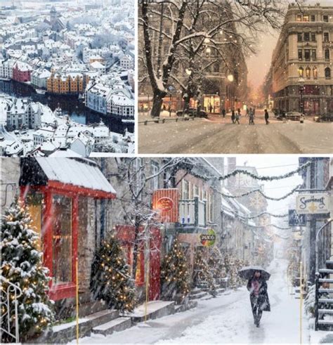 The Winter City: Ecologies of Snow, Ice and Cold – The Nature of Cities