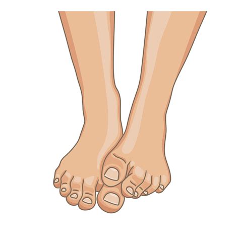 Female feet, barefoot, front view. One foot lying on the other. Healthy ...