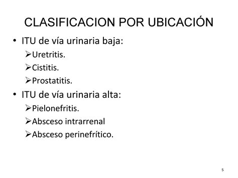 Infecciones Urinarias Nefrología al día