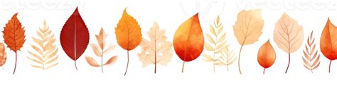 Autumn leaves border isolated 26748823 PNG