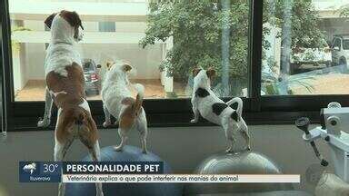 Jornal da EPTV 1ª Edição Ribeirão Preto Casa Pet veterinário