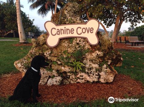 Canine Cove Dog Park ภาพถ่าย แผนที่ And รีวิว 2024