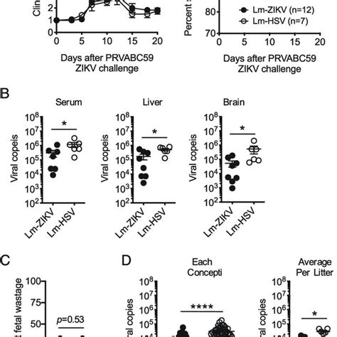 Attenuated Zikv Prvabc59 Infection Dissociates Virologic And Clinical Download Scientific