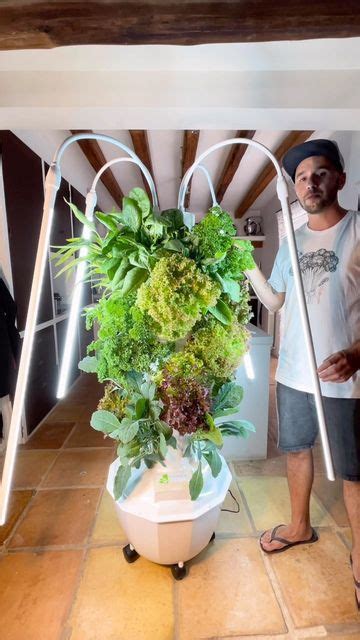 Agrotonomy On Instagram Vertical Farming Is A Game Changer In Modern