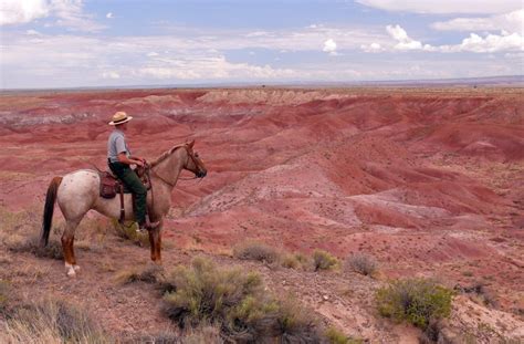 Petrified Forest National Park | Drive The Nation