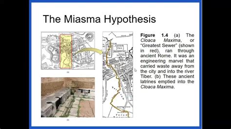 Lecture 1 Intro To Microbiology And Parasitology Part 2 Youtube