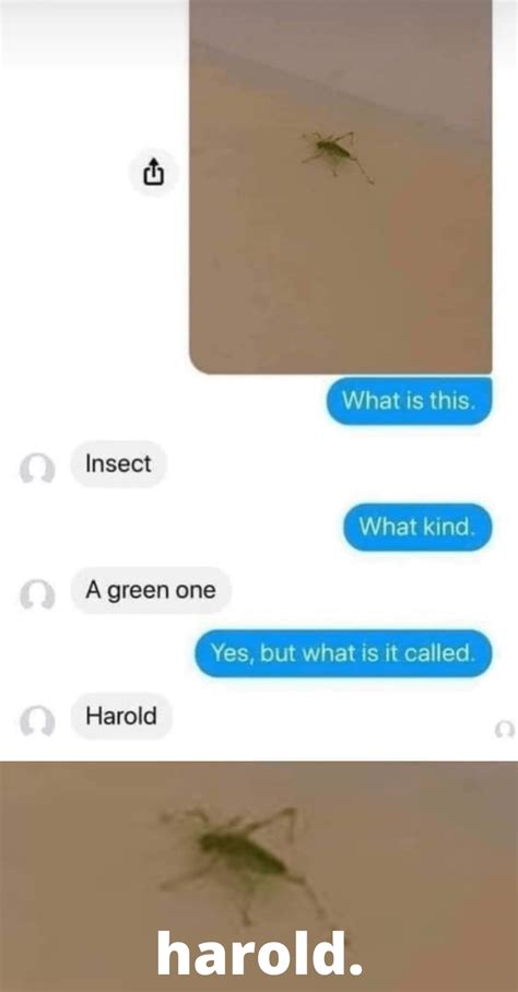 *HAROLD* : r/terriblefacebookmemes