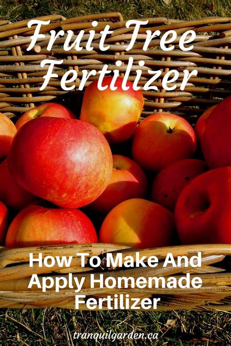 Fruit Tree Fertilizer Guide Home And Garden Reference