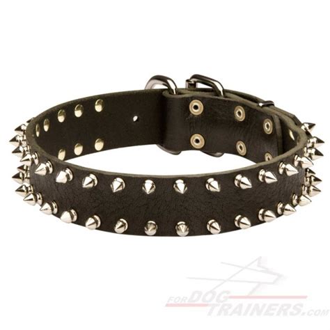 Spiked Leather Collar