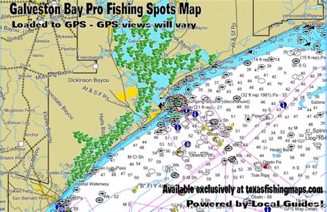 Galveston Bay Pro-Fishing Spots | Includes Trinity Bay, West Bay, East ...