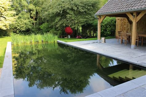 Zwemvijvers Lavendine Tuin En Landschapsarchitectuur