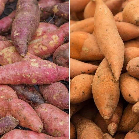 Yams Vs Sweet Potatoes What Are The Differences Similarities