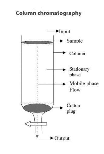 What is Column Chromatography ? A Beginners guide