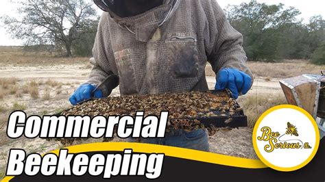 What It Takes To Be A Commercial Beekeeper Beekeeping Orlando Florida