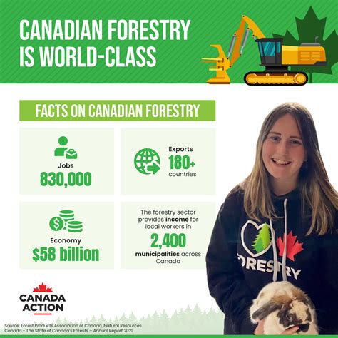 Canadian Forestry Infographic: Facts, Figures & More - Canada Action