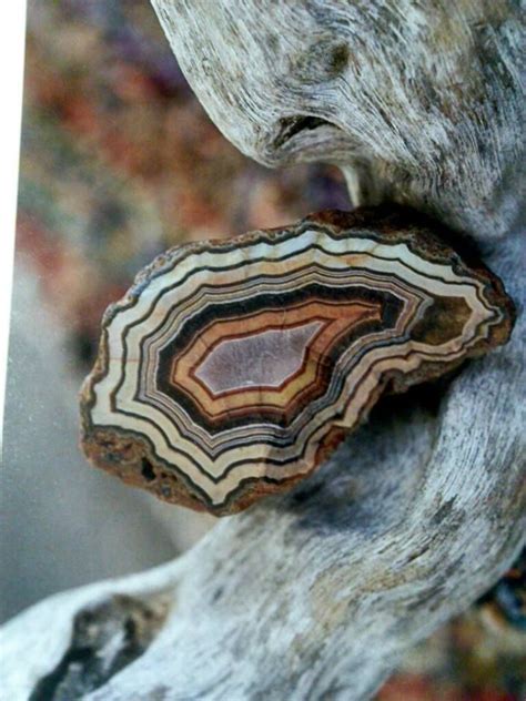 Fairburn Agates Of Sdakota Fairburn Agate Rocks And Gems Rocks And