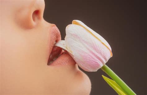 Premium Photo Oral Sex Orgasm Blowjob Licking Flower Lips And Spring Flower Sexy Woman Mouth