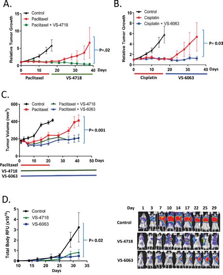 Inhibition Of Fak Kinase Activity Preferentially Targets Cancer Stem