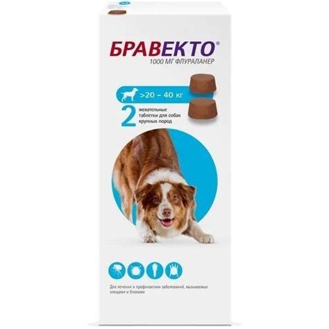 Бравекто 1000 мг для собак 20-40 кг, 1 таблетка (срок до 02.2025 ...