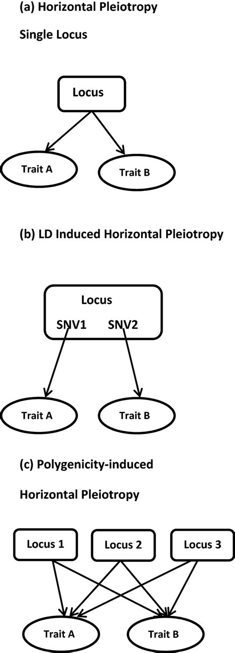 Three models of horizontal pleiotropy: a Single locus pleiotropy; b ...