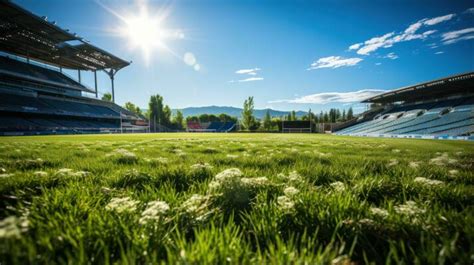 Stadium Grass Stock Photos, Images and Backgrounds for Free Download