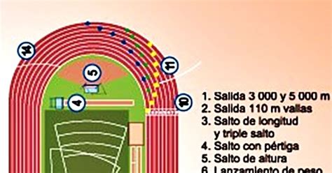 Fuente Polvo Entidad Campo De Atletismo Y Sus Partes Equipar Santo Pegajoso