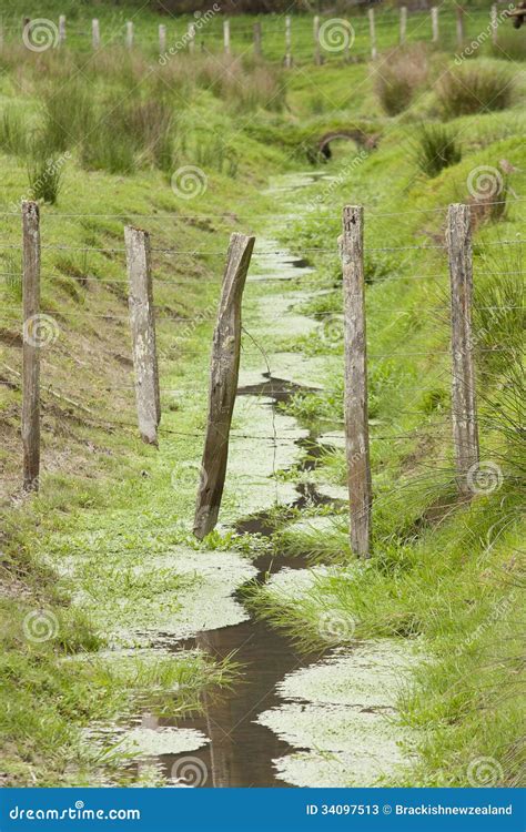 Farm Drainage Ditch Stock Image Image Of Rural Paddock 34097513