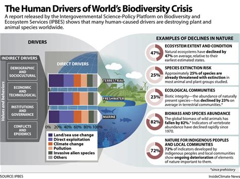 The Human Drivers Of The World S Biodiversity Crisis Inside Climate News