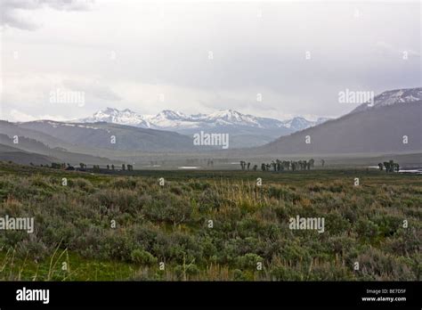 Lamar valley, wyoming hi-res stock photography and images - Alamy