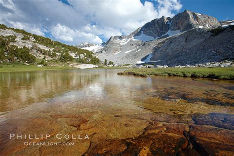 Vogelsang High Sierra Camp Yosemite National Park Natural History