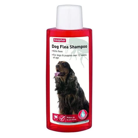 flea shampoo  dogs natural  eva autumn blog