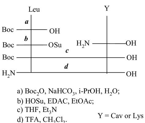 Synthesis of dipeptides Synthesis of dipeptides | Download Scientific ...