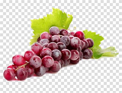 Grapes Fruit Illustration Red Wine Himrod Kyoho Grape Fresh Grapes