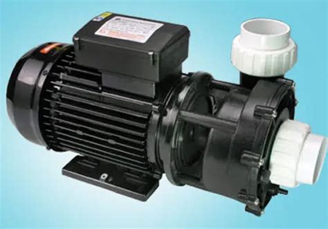 LP200 Spa Tub Pump Spa Tub Single Speed Pump Hot Tub Jet Pump 220V 50HZ In Pumps From Home