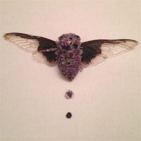 Tyler Thrasher Art Thrasher Amethyst Cicada