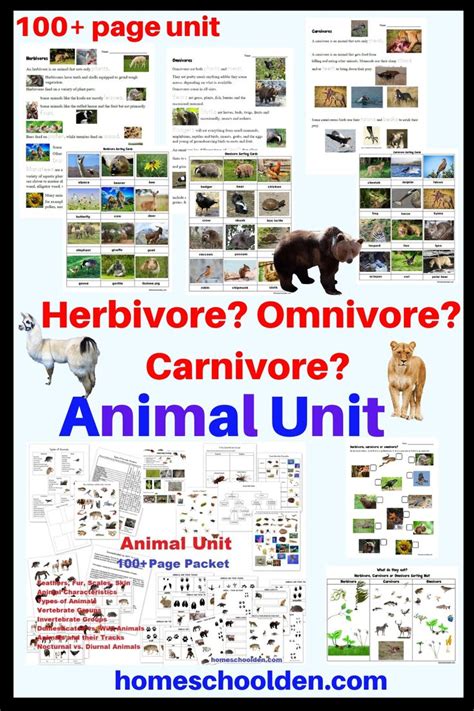 Herbivores Carnivores Omnivores Sorting Cards And Worksheets Diurnal