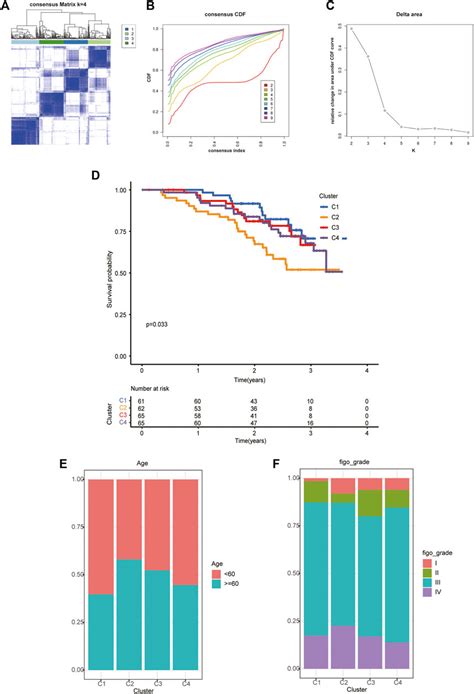 Frontiers Molecular Typing And Prognostic Risk Models For Ovarian