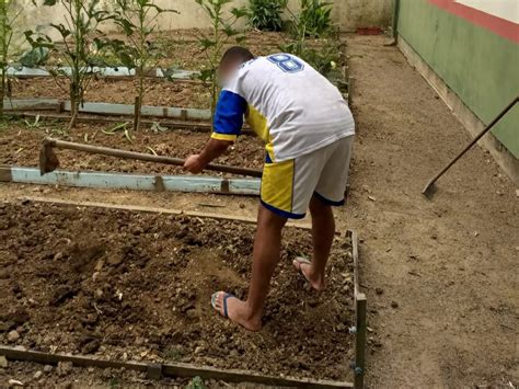 Adolescentes Do Casep De Rio Do Sul Produzem O Pr Prio Alimento