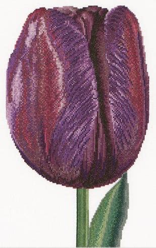 Tulipano Trionfo Viola Da Thea Gouverneur Fiori E Frutti Kit Punto