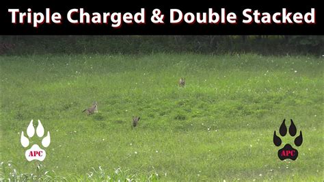 Triple Charged And Double Stacked Coyote Hunting East Tennessee Youtube