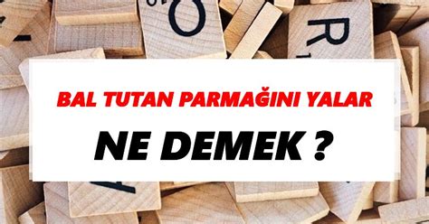 Bal tutan parmağını yalar Ne Demek TDKya Göre Bal tutan parmağını