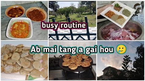 Ab Mai Tng A Gai Hon Busy Routine Aj Ka Din To Bhot Busy Guzra