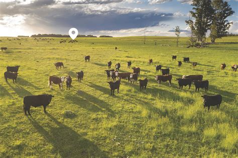 JHU Engineering Magazine 