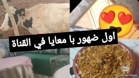 اول ضهور با الحنين معايا 😍كان نهار زوين مع ناس الدوار Youtube